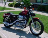 1996 Harley-Davidson Sportster 883 Hugger photo